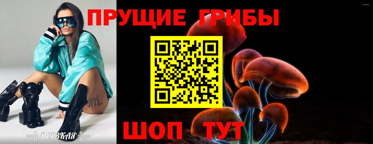 Псилоцибиновые грибы Psilocybine cubensis Киселёвск
