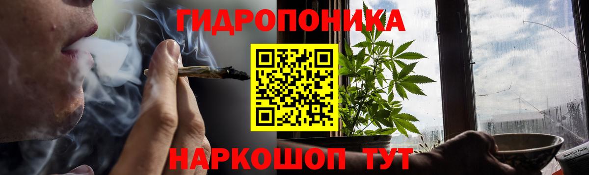 Каннабис планчик Киселёвск